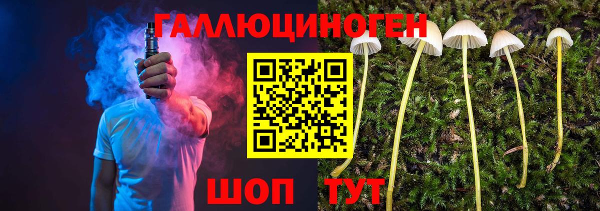 Добрянка  Псилоцибиновые грибы Cubensis  Псилоцибиновые грибы прущие грибы  Вход с VPN 