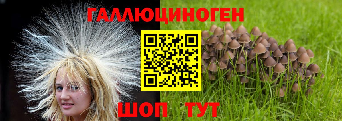 Галлюциногенные грибы Cubensis Добрянка